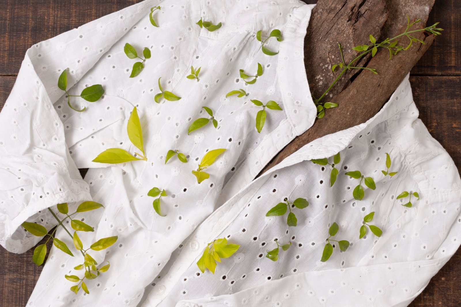 still life sustainability concept arrangement scaled.jpg